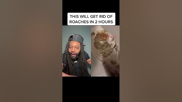This will get rid of roaches in 2 hours #shorts #youtubeshorts