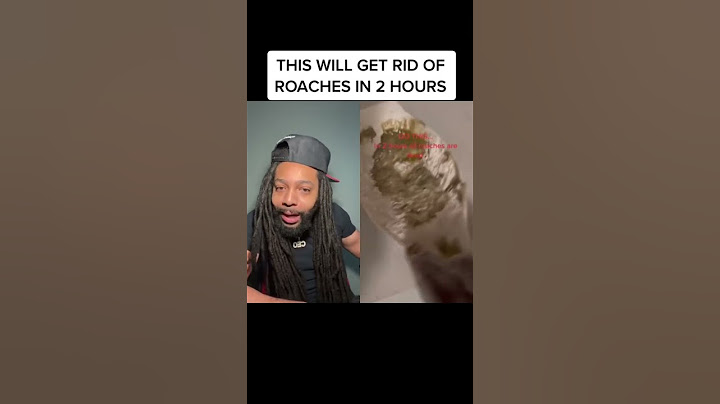 This will get rid of roaches in 2 hours #shorts #youtubeshorts