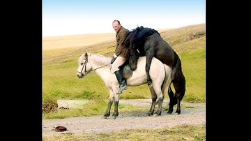 『馬々と人間たち』映画オリジナル予告編