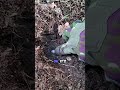 ⚒️ Dug Up 2 Old Dutch Coins!! #metaldetecting #ytshorts #youtubeshorts #viral #trending #shorts