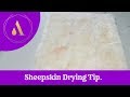 Sheepskin drying tip for professional rug cleaners.