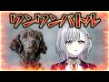 【#ワンワンバトル 】あんた、吠えようってのかい【ルチア・ラエティティア/ねくすとぴあ】