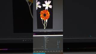 .3 Stop Motion... some coffee and Adobe Premiere [not AI]