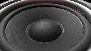 Lariss-dale papi 24hz speaker bass test