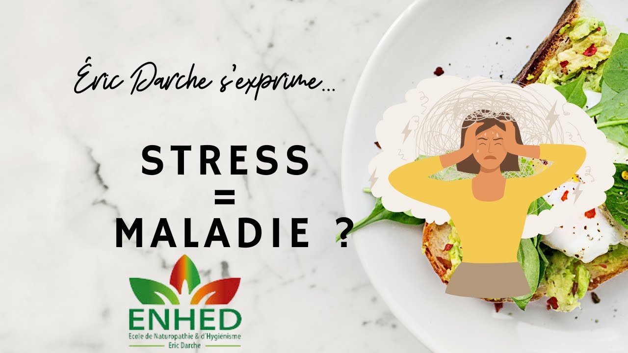 Comment le stress nous rend-il malades ?