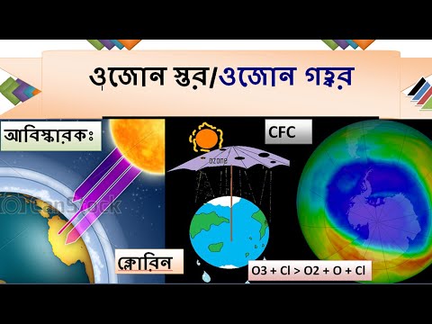 ভিডিও: গ্রহের ওজোন স্তরটি আমাদের কী থেকে রক্ষা করে