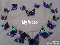 DVD Recycled Butterfly Tutorial / DVD Recycling craft /How to recycle an old DVD in to a Butterfly