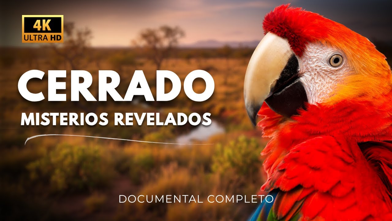 CERRADO SALVAJE: Secretos de la Sabana Más Impresionante del Mundo | Documental Completo