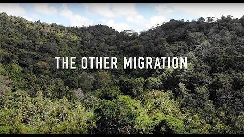 The Other Migration, Part 1: Who and Why