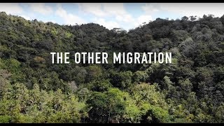 The Other Migration, Part 1: Who and Why