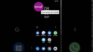 Consulta De Saldo De Cuenta De Ahorro Por Tpago