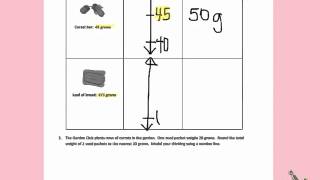 Engage NY Third Grade Module 2 Lesson 13 back