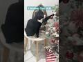 Cat Christmas Tree #cat #christmastree #christmas
