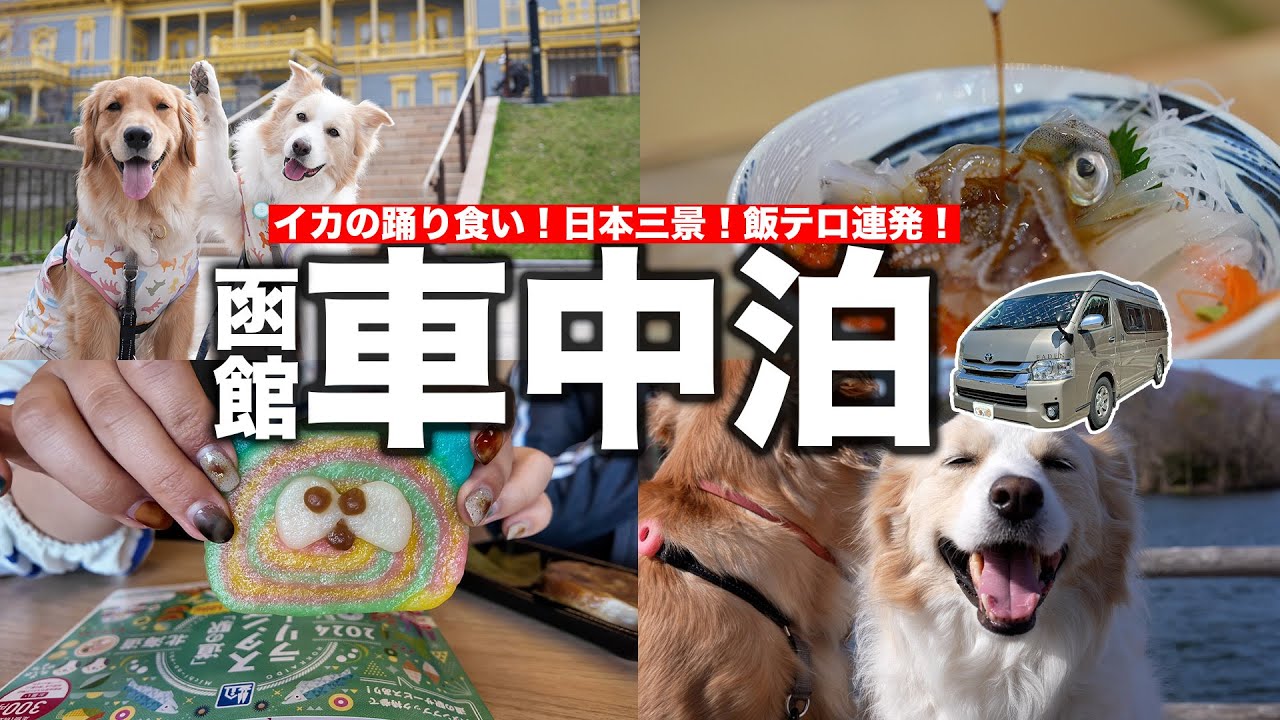 食の宝庫「函館」で暴飲暴食する30代夫婦の車中泊旅【ハイエースキャンピングカー】