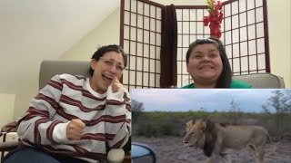 T&Em Review- ANIMALS 🦒VS HUMANS