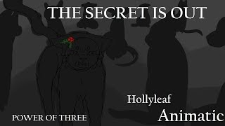 The secret is out - Hollyleaf animatic