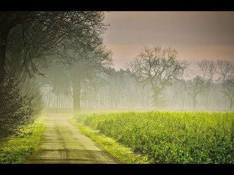 Rezan Çakır - İşte Gidiyorum