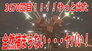 レジロック色違い