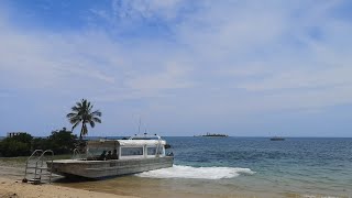 Nouméa: Île aux Canards (Duck-Island, Enteninsel). Underwater 🏖️🐠🇳🇨