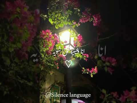 دنا وحياتك كل مشوفك بحلم اشوفك ثاني حبيتك بحبك موت سحرني عيونك عارفة قلبي اول عمرو دياب 