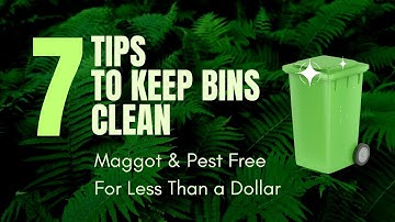 7 Easy Tips to Keep Your Green Bins Clean, Maggot and Odor-Free with the BagEZ Diy Cleaning System