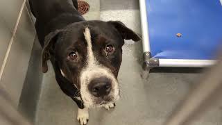 acs A679724