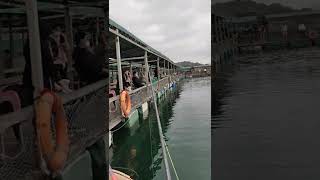 floating village in tai po hongkong good for family who like fishing