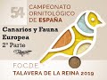 Focde 2019  Campeonato Ornitológico de España 54  Segunda parte Canarios y Fauna Europea