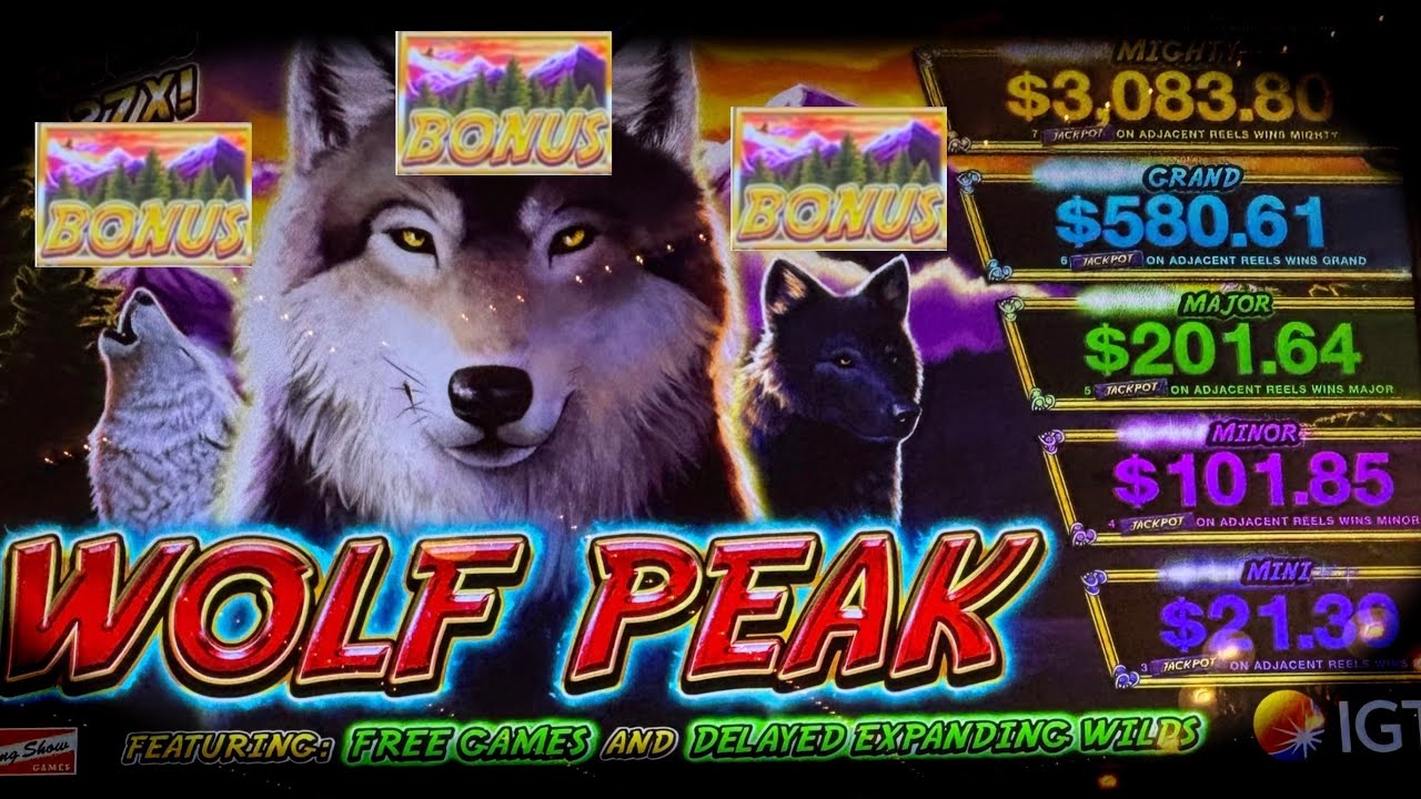bingo slots bonus We Did The Unthinkable And Got The Bonus On Wolf Peak!!