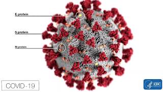 UW researchers using computer game to find coronavirus treatment screenshot 2