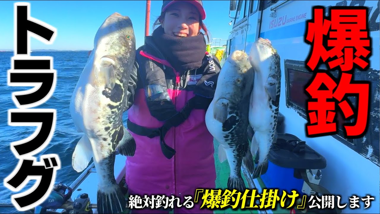 【トラフグ釣り】2024東京湾開幕！ちーちゃん爆釣船中竿頭♪仕掛けと釣り方公開します!!【萬栄丸】【天然虎河豚】【湾フグ】