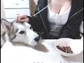 【実写】一緒に晩ご飯たべる❓【初見大歓迎】