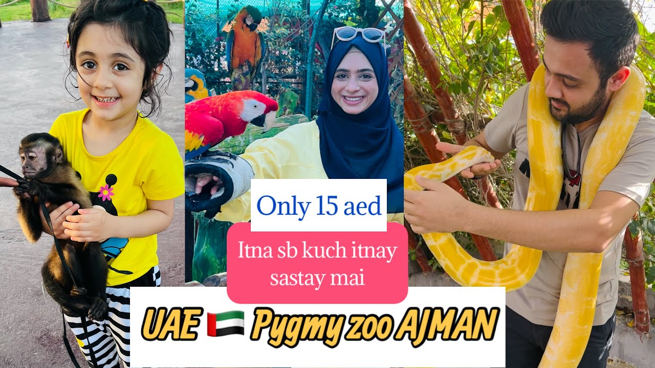 UAE Pygmy Zoo-Al Zorah Ajman | Petting Zoo | you can feed animals | UAE attractions
