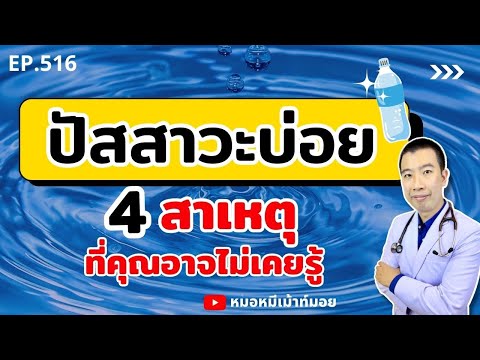 อาการปัสสาวะบ่อย 4 สาเหตุที่คุณอาจไม่เคยรู้ | เม้าท์กับหมอหมี EP.516