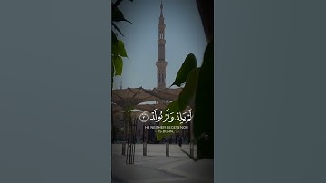 سورة الإخلاص #اكسبلور #الرحمن #قرآن #لايك #المصحف
