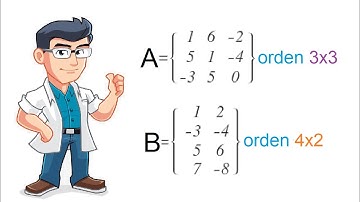 MATRIZ, ORDEN DE UNA MATRIZ Y REPRESENTACIÓN - Ejercicios Resueltos