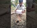 क्या Tomato सच में Invisible बना सकता है? – Shocking Experiment 😱 #shorts @vyrox_lab #fun #top