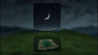 Grass Of Ethics - Energetic Nasheed {Lyrics in the caption}