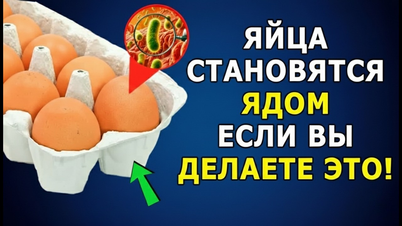 Едите Яйца Каждый День? 5 Ошибок, Которые Превращают Полезный Продукт В Яд После 65 Лет