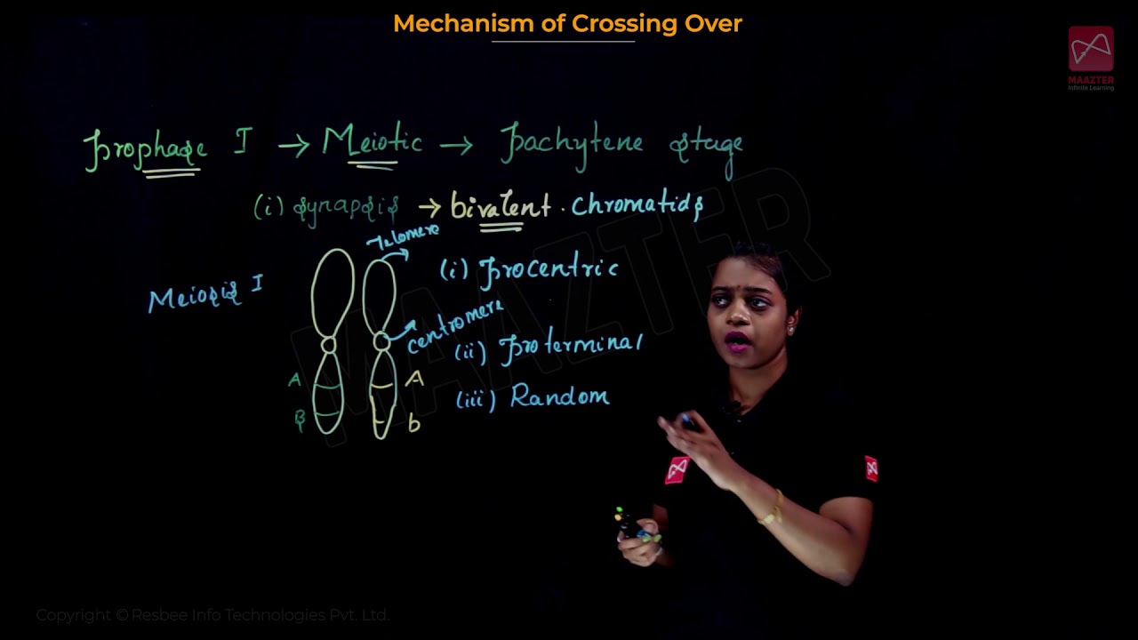 Free Live Class | Mechanism of Crossing Over | Chromosomal Basis of Inheritance | Botany class 12th