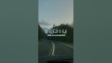 القارئ شريف مصطفى - قل هو الذي أنشأكم وجعل لكم السمع والأبصار والأفئدة قليلاً ما تشكرون