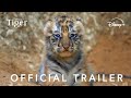 Tiger | Official Trailer | Disney+
