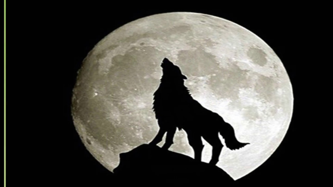 Helen Moss@Yoga Nidra Network.Org Supra Moon Nidra