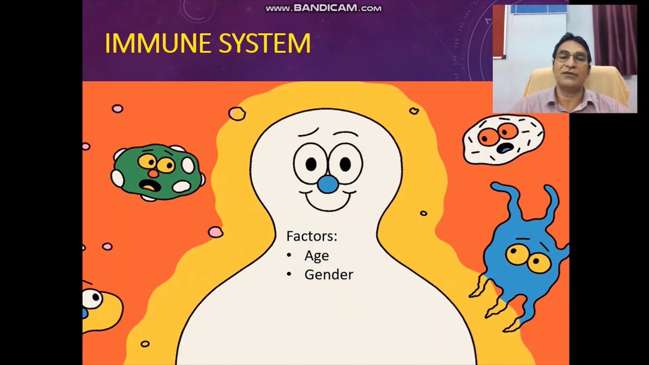 Relationship of Exercise and Immune System - YouTube