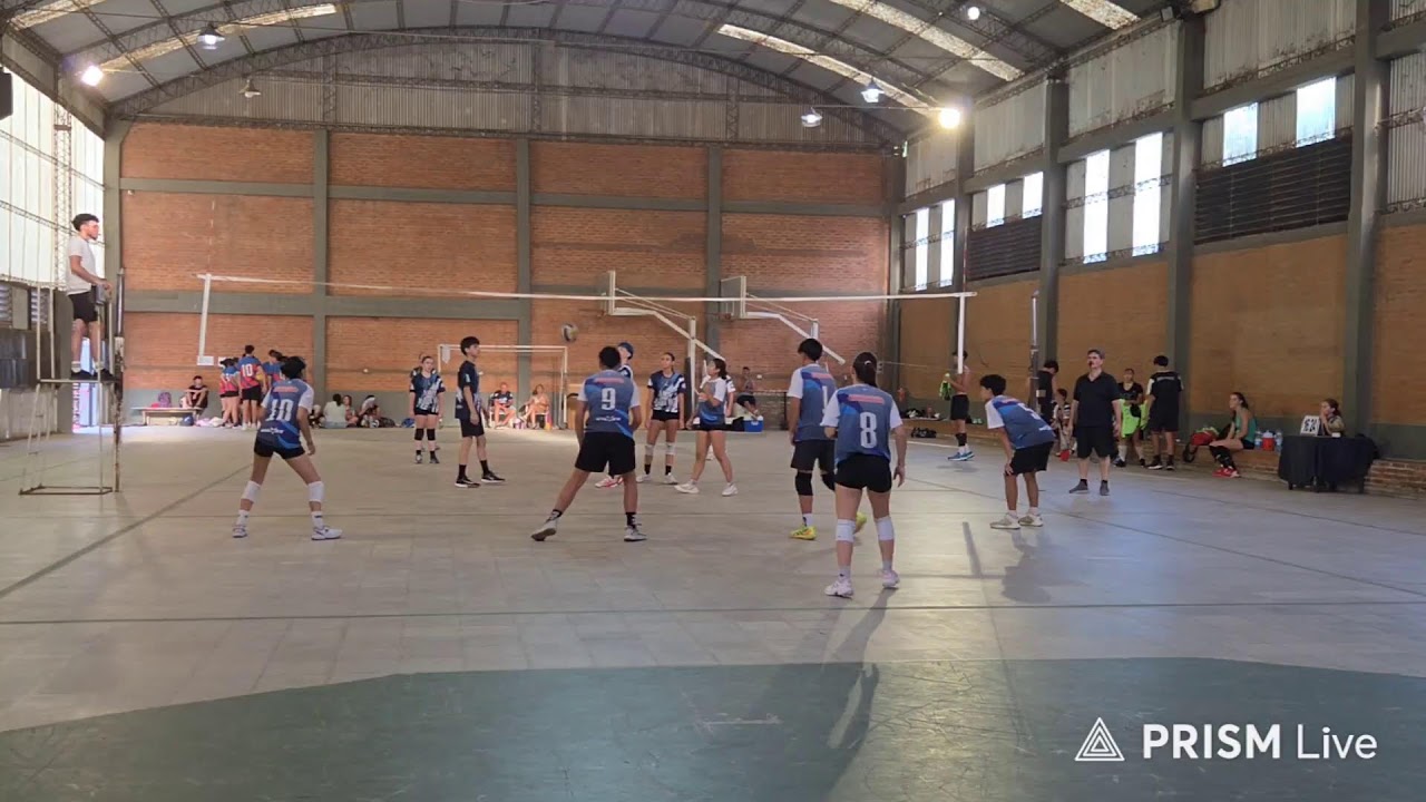 Transmisión en directo de Lilo