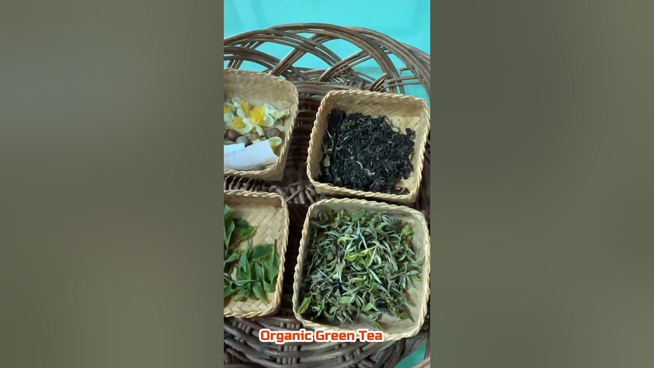 Organic Green Tea Flush Darjeeling Tea Factory travel darjeeling kidney-care-5-healthy-drinks-to-cleanse-your-kidneys-infographic