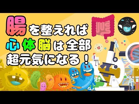 【腸活の効果】腸内環境を改善し整える方法とは