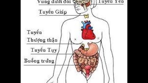 [ Nội ] TLS Hướng dẫn khám Nội tiết