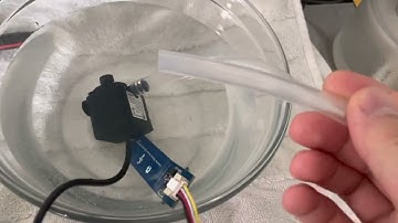 EECS 1021: Minor Project