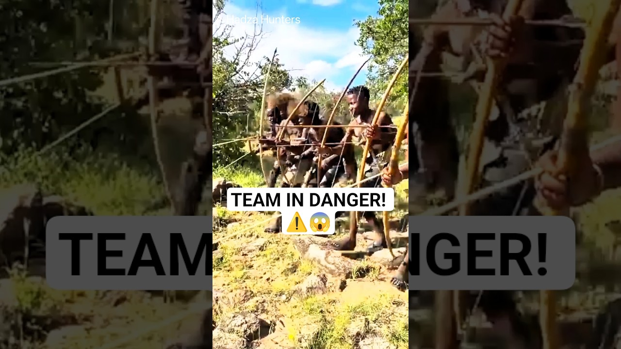 O Rugido do Rei 🦁: Tensão máxima na equipe! 🏹😱 | टीम के सामने शेर की दहाड़! 🔥 